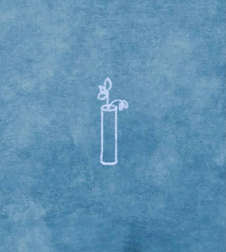 Vases
